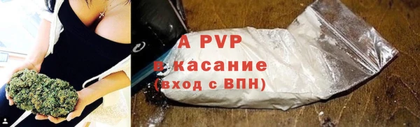 шишки Арсеньев