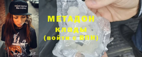 шишки Арсеньев