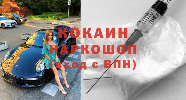 шишки Арсеньев