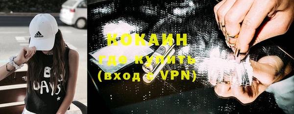 шишки Арсеньев
