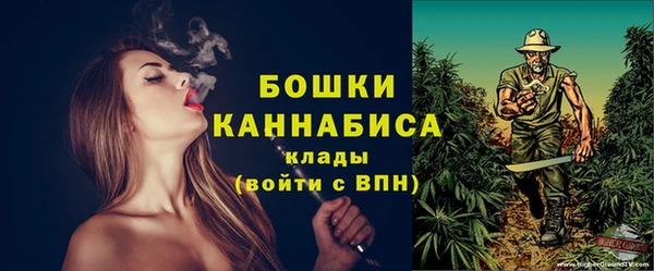 шишки Арсеньев