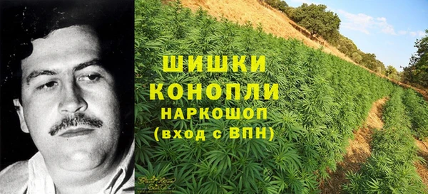 Альфа ПВП Аркадак