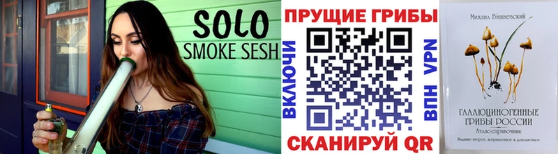 KRAKEN зеркало  Аркадак  Галлюциногенные грибы MAGIC MUSHROOMS 